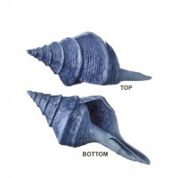 19" Blue Polyresin Whelk Shell