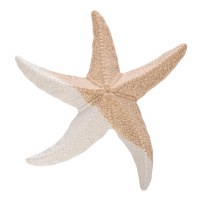 10" Distressed White and Light Brown Ceramic Starfish Figurine