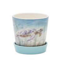 5" Light Blue Sea Turtle Pot With a Saucer