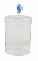 6" Clear and Blue Glass Seahorse Top Coastal Canister by Mud Pie