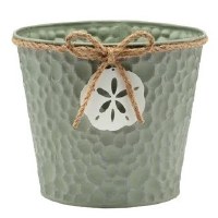 6" Green Metal Sand Dollar Pot