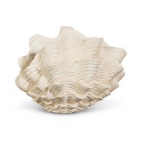 8" Cream Polyresin Clam Shell Figurine