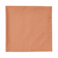 20" Sq Peach Elements Cloth Napkin