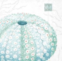 5" Square Multipastel Sea Urchin Beverage Napkins