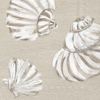 5" Square Distressed White and Taupe Seashells Beverage Napkins