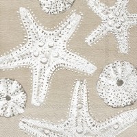 5" Square Distressed White and Taupe Starfish Beverage Napkins
