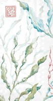 8" x 4.5" Blue and Green Seaweed Guest Towels