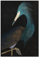 48" x 32" Blue Heron 2 Coastal Canvas Framed