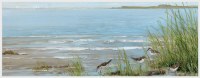 22" x 62" Sandpipers on a Grassy Shore Coastal Canvas in a White Frame