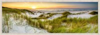 22" x 62" Sunset Over the Beach Dunes Coastal Canvas in a Wood Frame