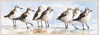 22" x 62" Seven Sandpipers on the Beach Coastal Canvas in a Wood Frame