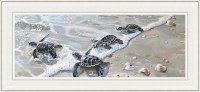 24" x 52" Four Baby Sea Turtles at the Water's Edge Gel Textured Coastal Print in a White Frame