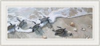 24" x 52" Five Baby Sea Turtles at the Water's Edge Gel Textured Coastal Print in a White Frame