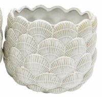 7" Round Distressed White Ceramic Scallop Shell Pot