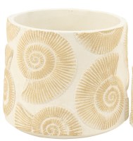 7" Round Beige Nautilus Shells Ceramic Coastal Pot