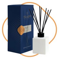 4 Oz Orange Vanilla Fragrance Reed Diffuser Kit