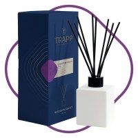 4 Oz Mediterranean Fig Fragrance Reed Diffuser Kit