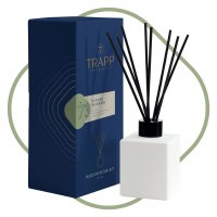 4 Oz Vetiver Seagrass Fragrance Reed Diffuser Kit