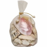 7" x 4" Bag of Polished Seashells