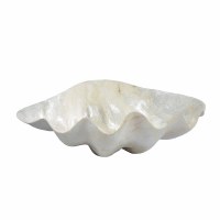 11" White Coastal Capiz Clam Shell Decorative Bowl