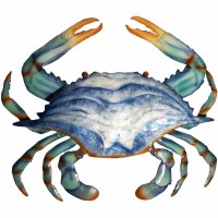 11" x 14" Blue Coastal Capiz Crab Wall Art Plaque