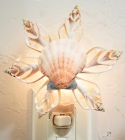 Cut Seashell Star With a Scallop Shell Center Night Light