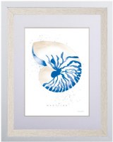 29" x 25" Blue Nautilus Shell Coastal Print in a Natural Wood and White Frame Under Glass