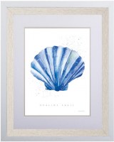 29" x 25" Blue Scallop Shell Coastal Print in a Natural Wood and White Frame Under Glass