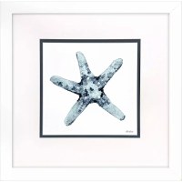 23" Sq Blue Starfish on a White Background Coastal Print in a White Frame Under Glass