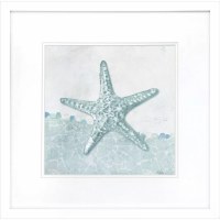 19" Sq Turquoise Starfish on a White Background Coastal Print Under Glass