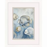 27" x 21" Dark Stripe Fish Coastal Print in a White Frame Under Glass