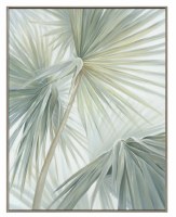 45" x 36" Palm Leaves Facing Downwards Tropical Canvas Framed