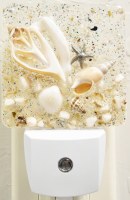 5" Silver Charm and a Slice Shell Nightlight
