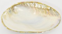 9" River Clam and Wood Bowl