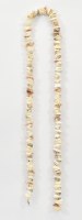 5' Multicolored 1"-1.5" Seashells Garland
