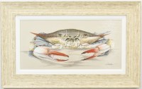 20" x 32" Big Bertha Crab Coastal Gel Textured Print in a Distressed Sand Frame by Art LaMay