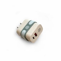 Gray Double Power Adapter