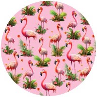6" Flamingo Silicone Jar Opener