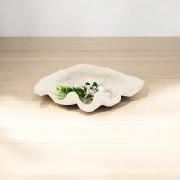 12" Distressed White pOlyresin Faux Clam Shell Decorative Bowl