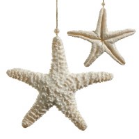 6" Ivory Glitter Polyresin Starfish Ornament