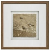 20" Sq Two Brown Sandpipers on the Shore Framed Coastal Print