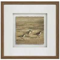 20" Sq Three Brown Sandpipers on the Shore Framed Coastal Print