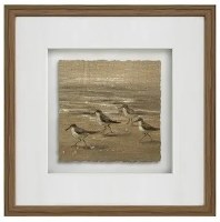 20" Sq Four Brown Sandpipers on the Shore Framed Coastal Print