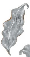 15" Narrow Silver Inside and Gold Outside Polyresin Leaf Wall Art Plaque