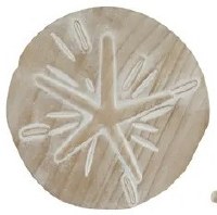 9" White Washed Sand Dollar Coastal Wood Wall Art Plaque