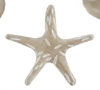 9" White Washed Starfish Coastal Wood Wall Art Plaque