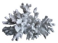 13" Faux White Coral Polyresin Figurine