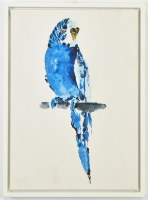 22" x 16" Blue Budgie With It's Head Turned Tropical Canvas in a White Frame