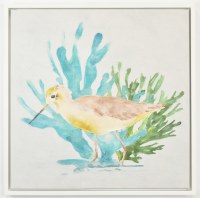 24" Sq Shorebird amd Coral Coastal Canvas in a White Frame
