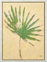 32" x 24" Sage Palmetto Palm Frond Coastal Canvas in a White Washed Wood Frame
